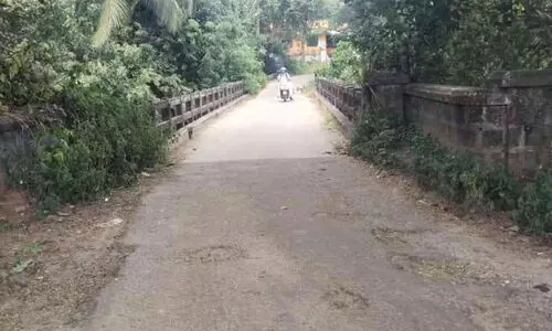 തകർച്ച ഭീഷണി നേരിടുന്ന പുളിനെല്ലി പാലത്തിന് രണ്ടുകോടി തകർച്ച ഭീഷണി നേരിടുന്ന പുളിനെല്ലി പാലത്തിന് രണ്ടുകോടി