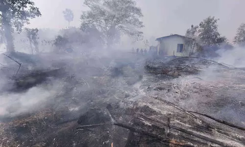 കോവളത്തും മേനംകുളത്തും വൻ തീപിടിത്തം