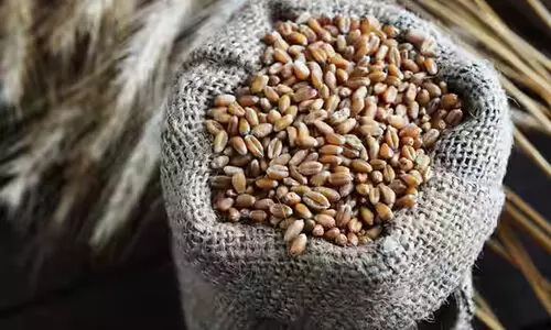 ക​ല്ലൂ​പ്പാ​റ വി​ത്തു​വേ​ലി ച​ന്ത നാ​ളെ; വാ​ഹ​ന റാ​ലി ഇ​ന്ന്