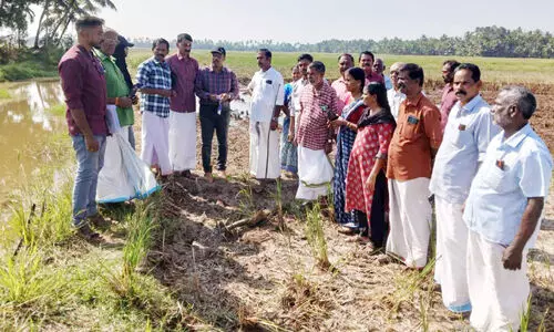ഔട്ട് പോസ്റ്റ്-മറ്റം - കൊടുതുരുത്ത് റോഡ് പദ്ധതി രേഖ തയാറാക്കാൻ വിദഗ്ധ സംഘമെത്തി ഔട്ട് പോസ്റ്റ്-മറ്റം - കൊടുതുരുത്ത് റോഡ് പദ്ധതി രേഖ തയാറാക്കാൻ വിദഗ്ധ സംഘമെത്തി