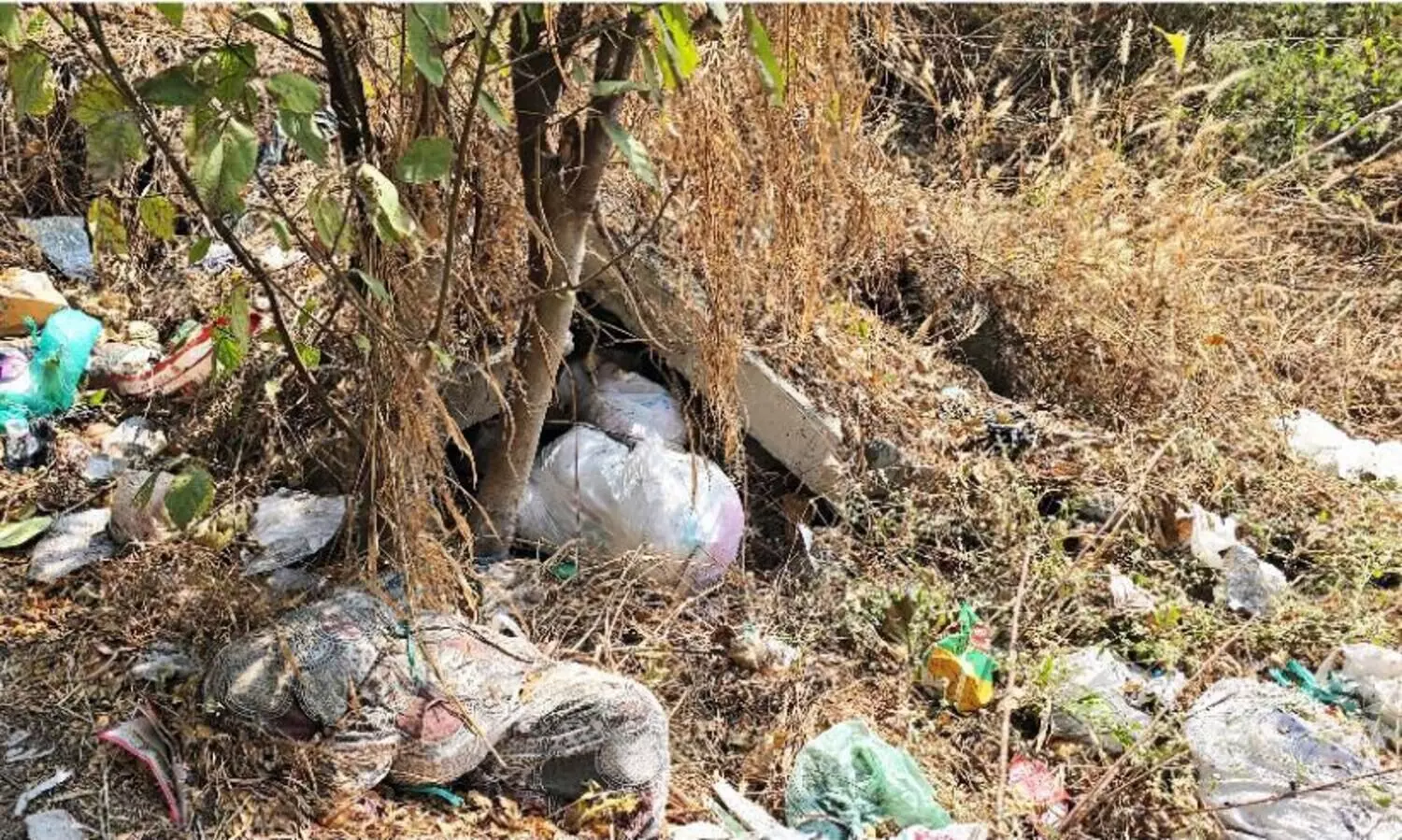 ലക്ഷങ്ങൾ ചെലവഴിച്ചിട്ടും മാലിന്യക്കൂമ്പാരമായി ഐ.ടി.ഐ റോഡ്