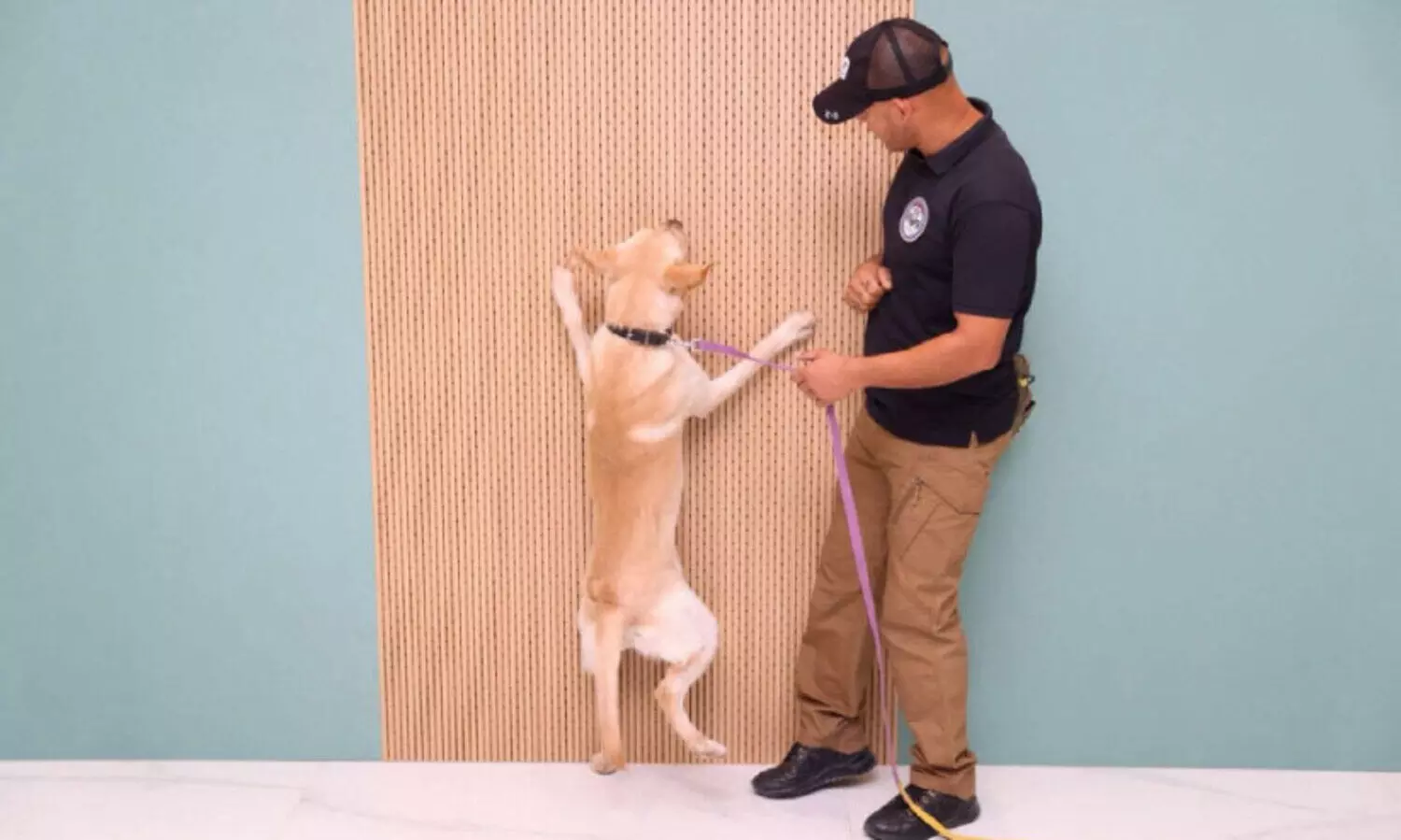 നേ​ട്ട​ങ്ങ​ള്‍ കൈ​വ​രി​ച്ച് റാ​ക് കെ-9