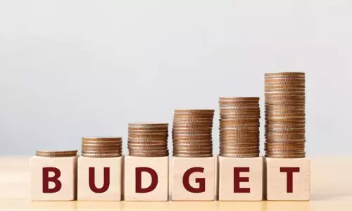 പൊള്ളയായ പ്രഖ്യാപനങ്ങൾ; ബജറ്റിനെതിരെ യൂത്ത് ഇന്ത്യ