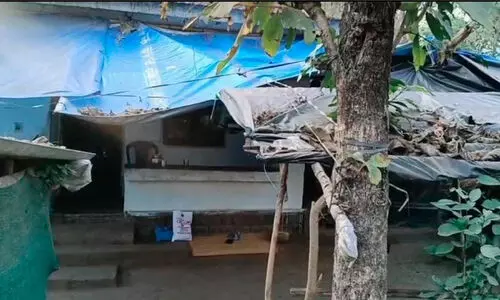 കടുവ കൊന്ന മാരന്റെ കുടുംബത്തിന് സഹായം അകലെ കടുവ കൊന്ന മാരന്റെ കുടുംബത്തിന് സഹായം അകലെ