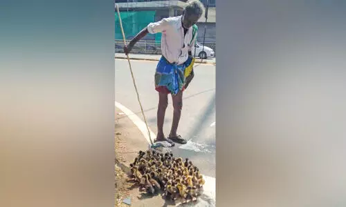 കിലോമീറ്ററുകൾ താണ്ടി ചിന്നസ്വാമി എത്തുന്നു, ജീവിതം കളറാക്കാൻ...