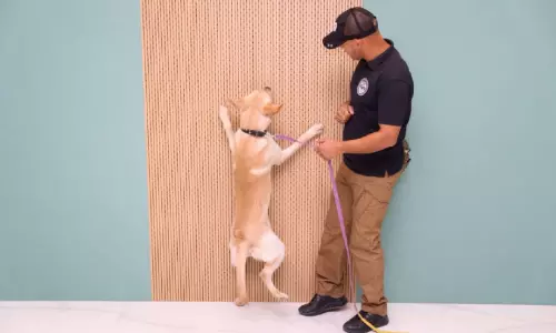 നേ​ട്ട​ങ്ങ​ള്‍ കൈ​വ​രി​ച്ച് റാ​ക് കെ-9