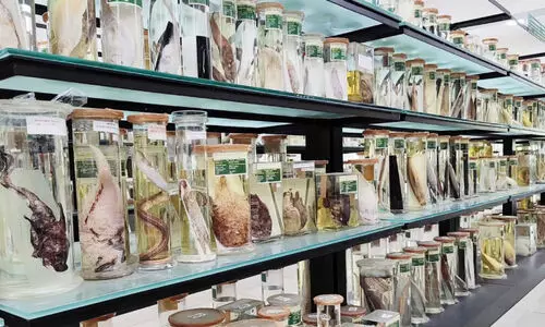 വരൂ കാണാം, ആഴക്കടലിന്റെ വിസ്മയക്കാഴ്ചകൾ