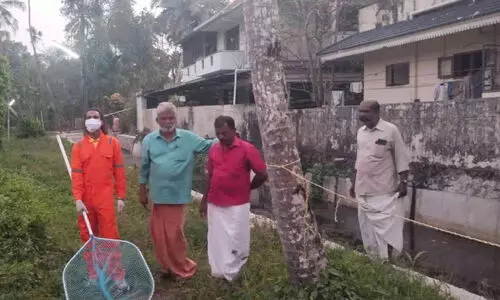 എട്ട്‌ പേർക്ക് നായയുടെ കടിയേറ്റു