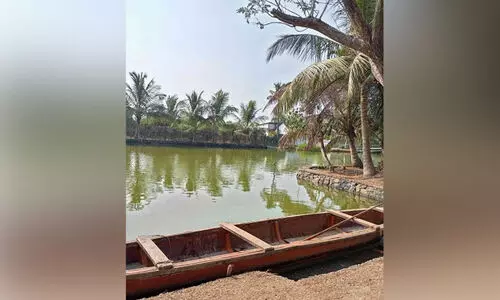 ചെല്ലാനം -ചേരുങ്കൽ പാലത്തിന് ബജറ്റിൽ ഇത്തവണയും വകയില്ല ചെല്ലാനം -ചേരുങ്കൽ പാലത്തിന് ബജറ്റിൽ ഇത്തവണയും വകയില്ല