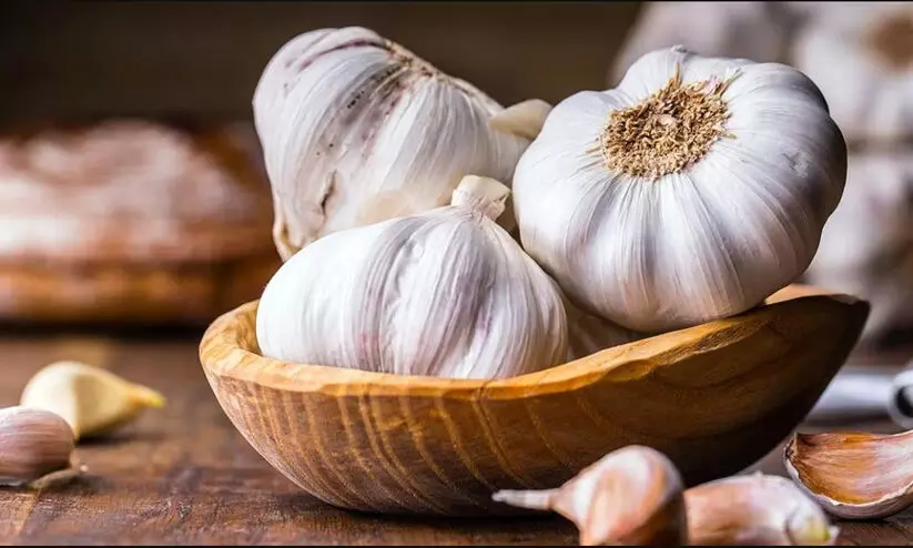 വെളുത്തുള്ളി വില കുതിക്കുന്നു; കിലോക്ക് 200 രൂപ കടന്നു വെളുത്തുള്ളി വില കുതിക്കുന്നു; കിലോക്ക് 200 രൂപ കടന്നു