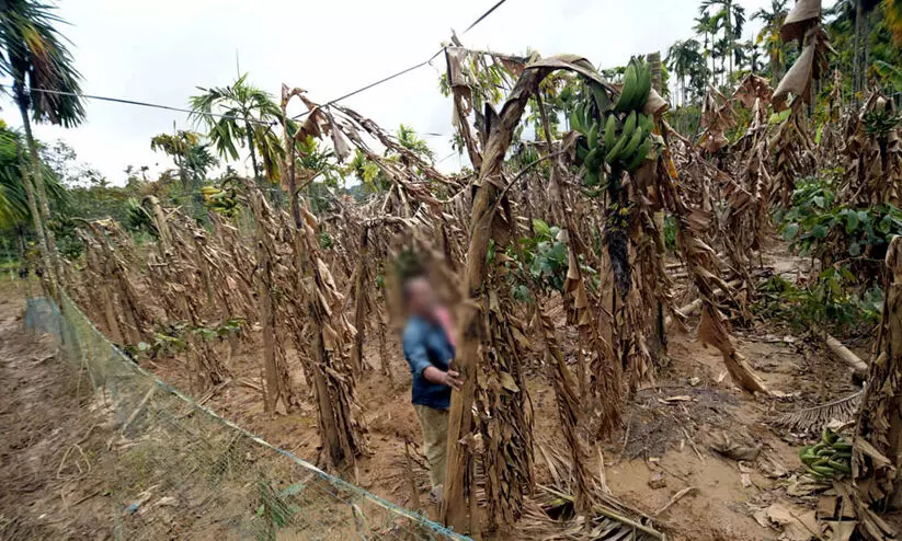 Representation Image