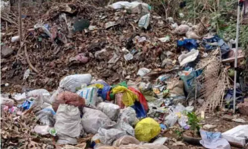 മാലിന്യം നിറഞ്ഞ് നഗരസഭ; പൈതൃക സ്മാരകങ്ങൾക്ക് ഭീഷണിയായി മാറുന്ന നിലയിലാണ് മാലിന്യം തള്ളൽ