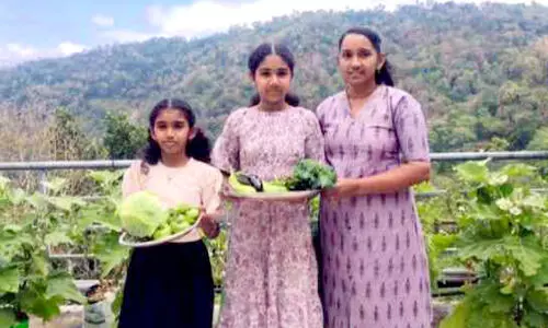 മട്ടുപ്പാവ് കൃഷിയിൽ മാതൃക തീർത്ത് അധ്യാപിക
