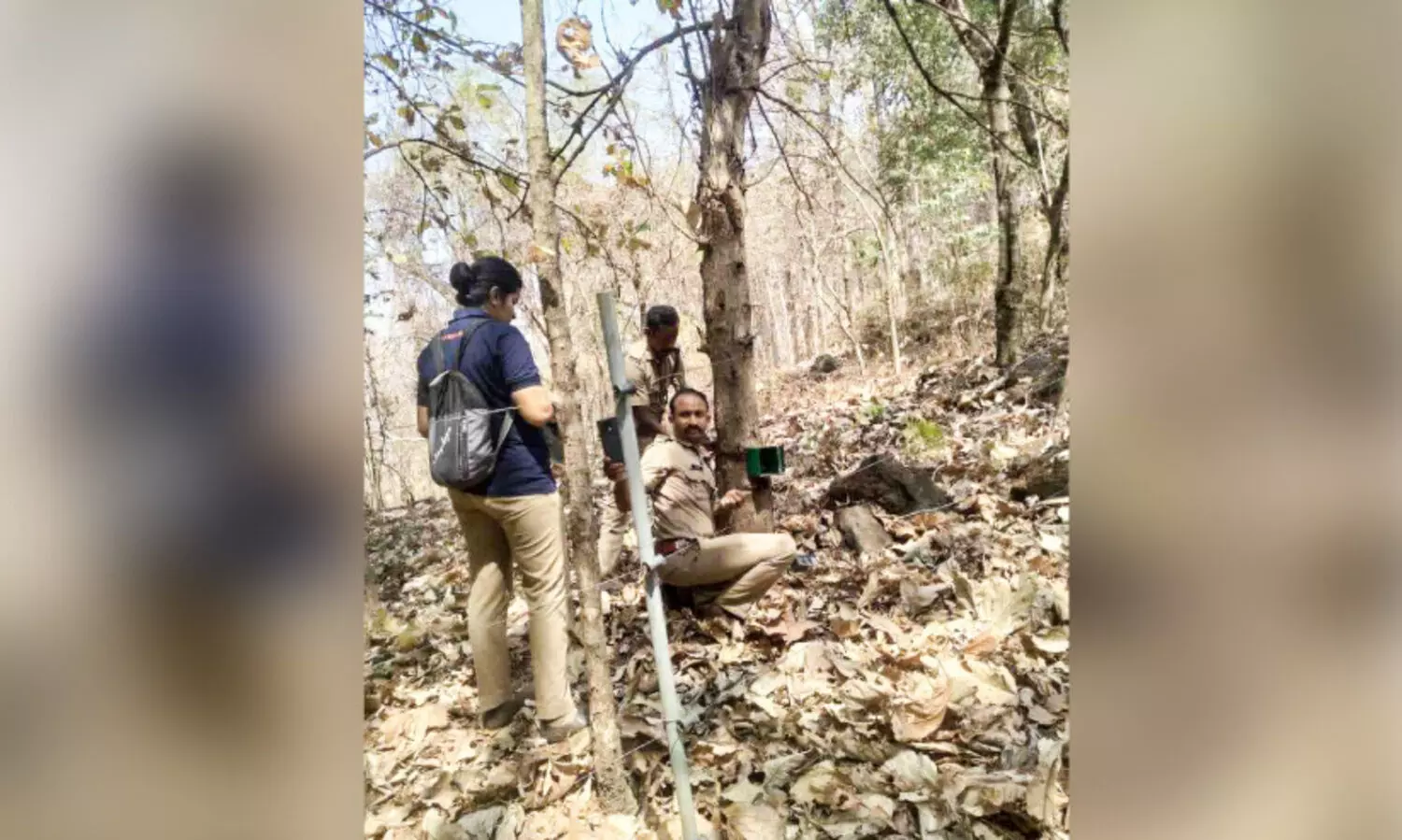 വനംവകുപ്പ് നിരീക്ഷണ കാമറകൾ സ്ഥാപിച്ചു