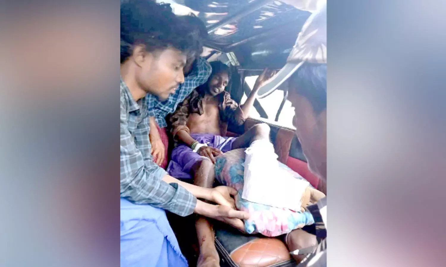 ഇടമലക്കുടിയിൽ കാട്ടുപോത്തിന്റെ ആക്രമണം; യുവാവിന് പരിക്ക്