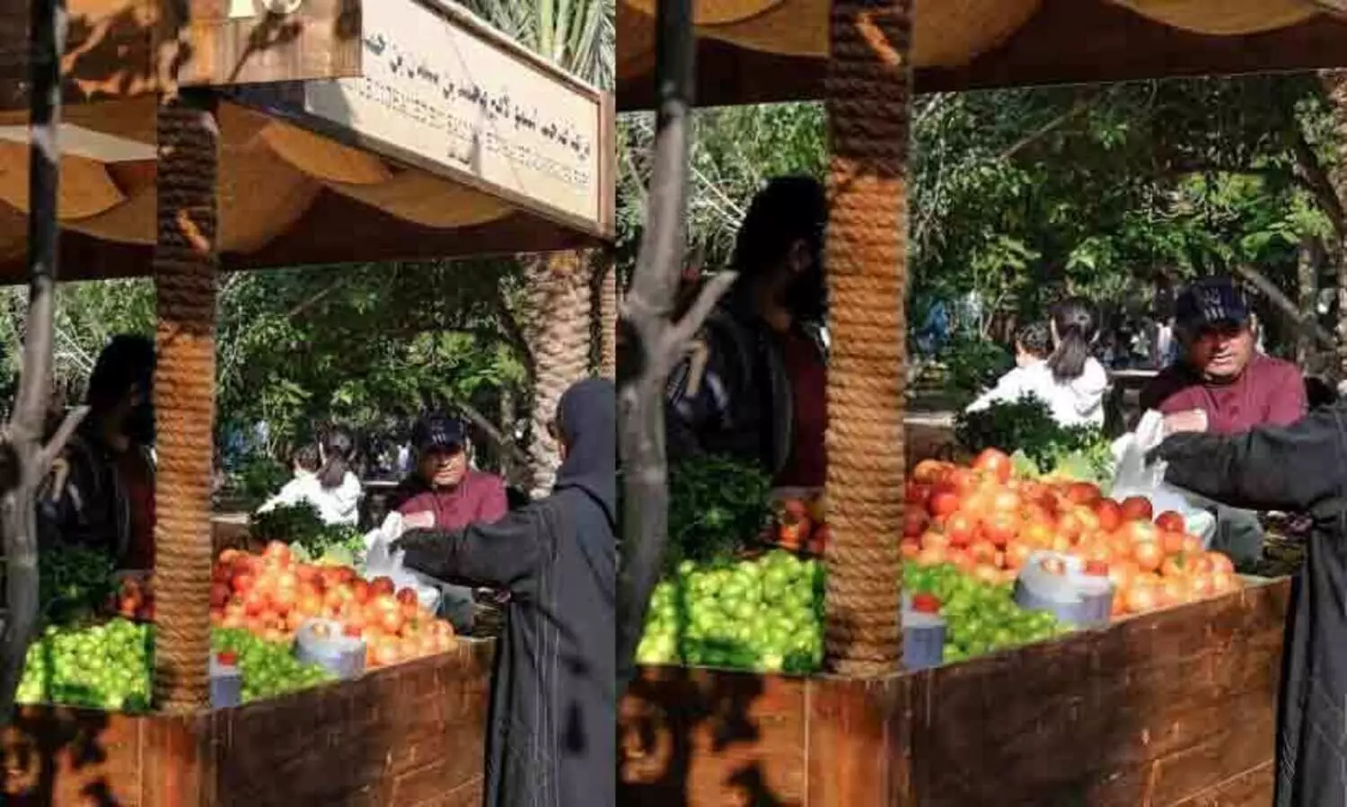 ഫാർമേഴ്‌സ് മാർക്കറ്റിൽ വിളവെടുപ്പ് ഉത്സവം; ഒമ്പത് ആഴ്ചയ്ക്കുള്ളിൽ വിറ്റഴിച്ചത് 212 ടൺ പച്ചക്കറികൾ