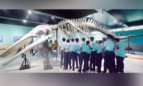 ആഴക്കടൽ കാഴ്ചകളുടെ വിസ്മയലോകം തുറന്ന് പ്രദർശനം