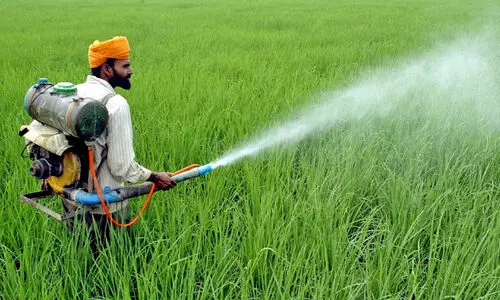 പോ​രാ​യ്​​മ​ക​ൾ നി​റ​ഞ്ഞ കീ​ട​നാ​ശി​നി   മാ​നേ​ജ്മെ​ന്റ് ബി​ൽ 2025