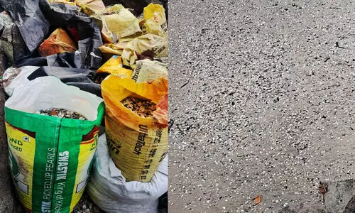 കൊ​ച്ചി ക​ട​ൽ​തീ​ര​ത്ത് ക​ക്ക​ക​ൾ ച​ത്ത​ടി​യു​ന്നു; തീ​ര​ത്ത​ടി​യു​ന്ന മാ​ലി​ന്യ​മാ​ണ് കാ​ര​ണ​മെ​ന്ന് മ​ത്സ്യ​ത്തൊ​ഴി​ലാ​ളി​ക​ൾ