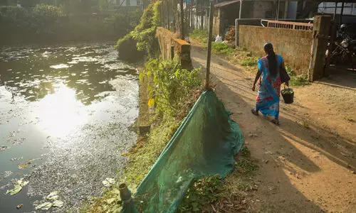 അ​ധി​കൃ​ത​രു​ടെ ‘ശ​രി​യാ​ക്കാം’ പാ​ഴ്വാ​ക്കാ​യി; ഭീ​തി​യൊ​ഴി​യാ​തെ ക​ണ്ണം​കു​ള​ങ്ങ​ര ആ​ലും​കു​ളം