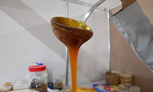 ജിസാൻ തേൻ മേള: മധു നുണഞ്ഞ്​ ആയിരക്കണക്കിന് സന്ദർശകർ​