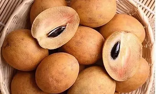 Can diabetics eat sapota?