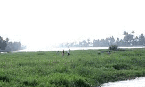 പ​ഴു​ക്കാ​നി​ല കാ​യ​ൽ തെ​ളി​ക്കാ​ൻ ടെ​ൻ​ഡ​ർ ക്ഷ​ണി​ച്ചു