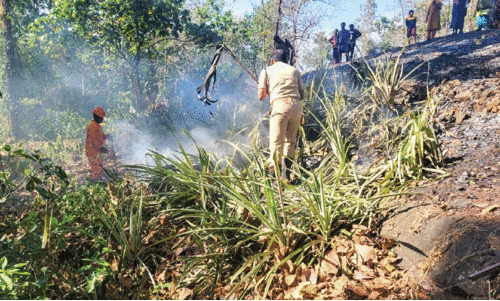 ഒ​രു മാ​സം; 80 ഫ​യ​ർ കാ​ൾ