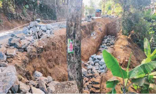 സം​സ്ഥാ​ന പാ​ത നി​ർ​മാ​ണ​ത്തി​ന്​ ത​ട​സ്സ​മാ​യി മ​രം