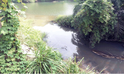 പട്ടണത്തിലെ മാ​ലി​ന്യ​വും മ​ലി​ന​ജ​ല​വും നിറഞ്ഞു; ക​ല്ല​ട​യാ​ർ ആരോഗ്യഭീഷണി ഉയർത്തുന്നു