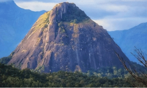 കാട്ടുതീ സാധ്യത; ഗഡൈക്കല്ലിൽ പ്രവേശന വിലക്ക്