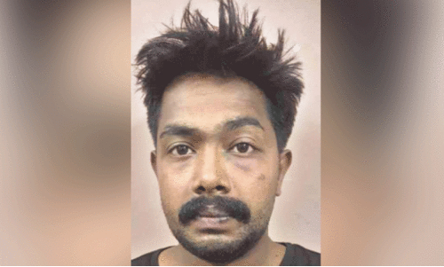 പൊലീസിനെ ആക്രമിക്കാൻ  ശ്രമം: പ്രതി പിടിയിൽ