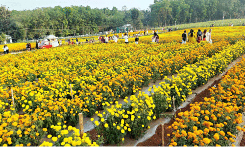 പൊ​ലി​മ പ​ക​ർ​ന്ന് പാ​ലേ​മ​ഠ​ത്തെ പൂ​േന്താട്ടം