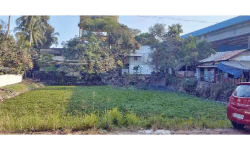 മാലിന്യക്കുഴിയായി എഴുപുന്ന   പഞ്ചായത്തിലെ പൊതുകുളം