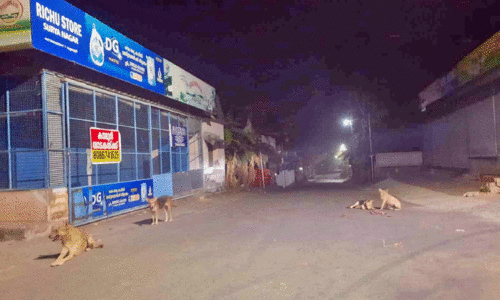 തെരുവുകൾ വാണ്​ നായ്ക്കൾ; ജനം ഭീതിയിൽ