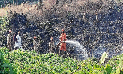 ആ​റ്​ ഏ​ക്ക​ർ ക​ത്തി​ന​ശി​ച്ചു