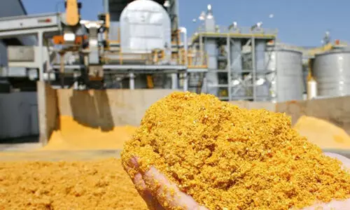 ഇന്ത്യ നിലപാട് മാറ്റി; യു.എസ് ഇറക്കുമതി ചെയ്യുക ജനിതക മാറ്റം വരുത്തിയ കാലിത്തീറ്റ