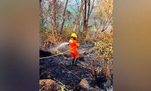 കാട്ടുതീ ; കോടിക്കുളം കപ്പിലാം ചുവട്   ഭാഗത്ത് കാട്ടുതീ പതിവാകുന്നു