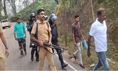 പു​ലി​യെ പി​ടി​കൂ​ടാ​ൻ   നി​രീ​ക്ഷ​ണം ശ​ക്ത​മാ​ക്കി