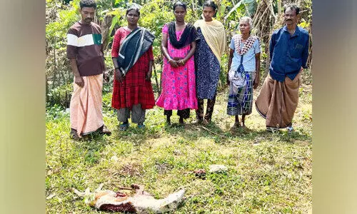 പുലി ഭീതിയില്‍ ചെറുകര ഗ്രാമം; പുറത്തിറങ്ങാനാവാതെ നാട്ടുകാര്‍