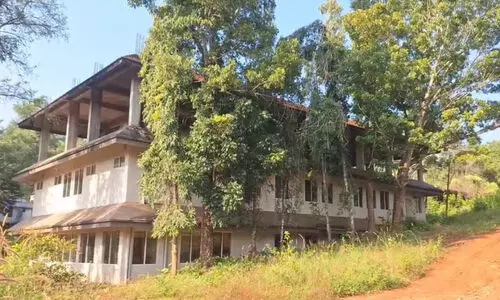 ചേ​​വാ​​യൂ​​രി​​ലെ സ്വ​​പ്‌​​ന​​ങ്ങ​​ളും തെ​​ങ്ങി​​ല​​ക്ക​​ട​​വി​​ലെ വ​​വ്വാ​​ലു​​ക​​ളും