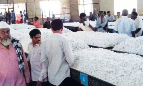 മൈസൂരുവിൽ ഹൈടെക് സിൽക്ക് കൊക്കൂൺ മാർക്കറ്റ് ഉടൻ