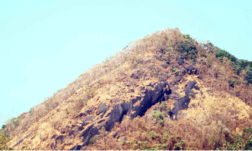 ചൂട് കടുത്തു; ഇടുക്കിക്ക് പൊള്ളുന്നു