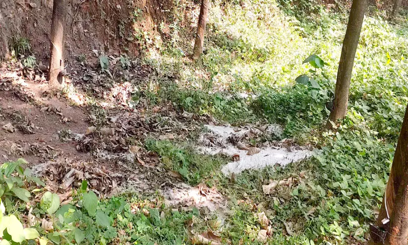 ജനവാസകേന്ദ്രത്തില് സാമൂഹിക വിരുദ്ധര് കക്കൂസ് മാലിന്യം തള്ളി ജനവാസകേന്ദ്രത്തില് സാമൂഹിക വിരുദ്ധര് കക്കൂസ് മാലിന്യം തള്ളി