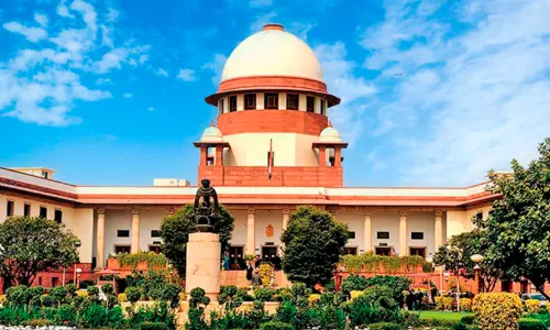 No one should trust anyone before marriage