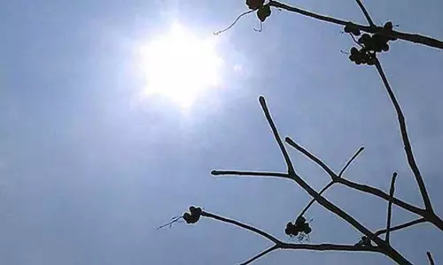 ചൂടിനൊപ്പം വൈദ്യുതി മുടക്കവും; വിയർത്ത് ജനം