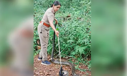 പാമ്പുകളുടെ തോഴിക്ക് ‘സ്ത്രീശക്തി’ പുരസ്കാരം പാമ്പുകളുടെ തോഴിക്ക് ‘സ്ത്രീശക്തി’ പുരസ്കാരം