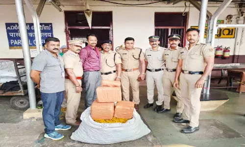 റെയിൽവേ സ്റ്റേഷനിൽ നിന്ന് 38 കിലോ കഞ്ചാവ് പിടികൂടി