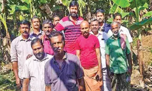 പ്രതിസന്ധിയിലും പ്രതീക്ഷയിലാണ് ​കർഷകർ