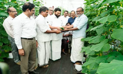 സഹകരണ വകുപ്പിന്റെ നേതൃത്വത്തില്‍   നെല്ല് സംഭരണം തുടങ്ങി -മന്ത്രി പി. പ്രസാദ്